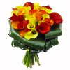 «Солнечный» 29